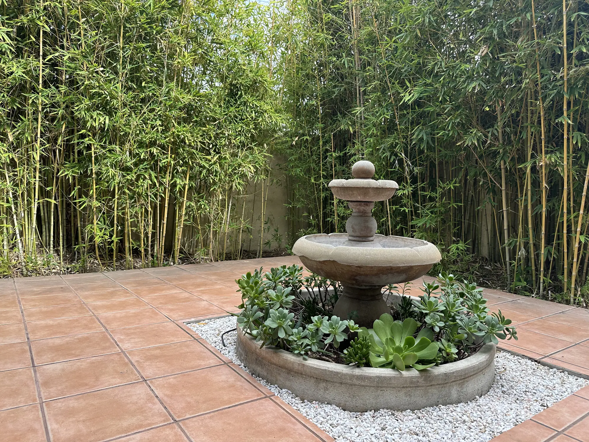Courtyard fountain and bamboo
