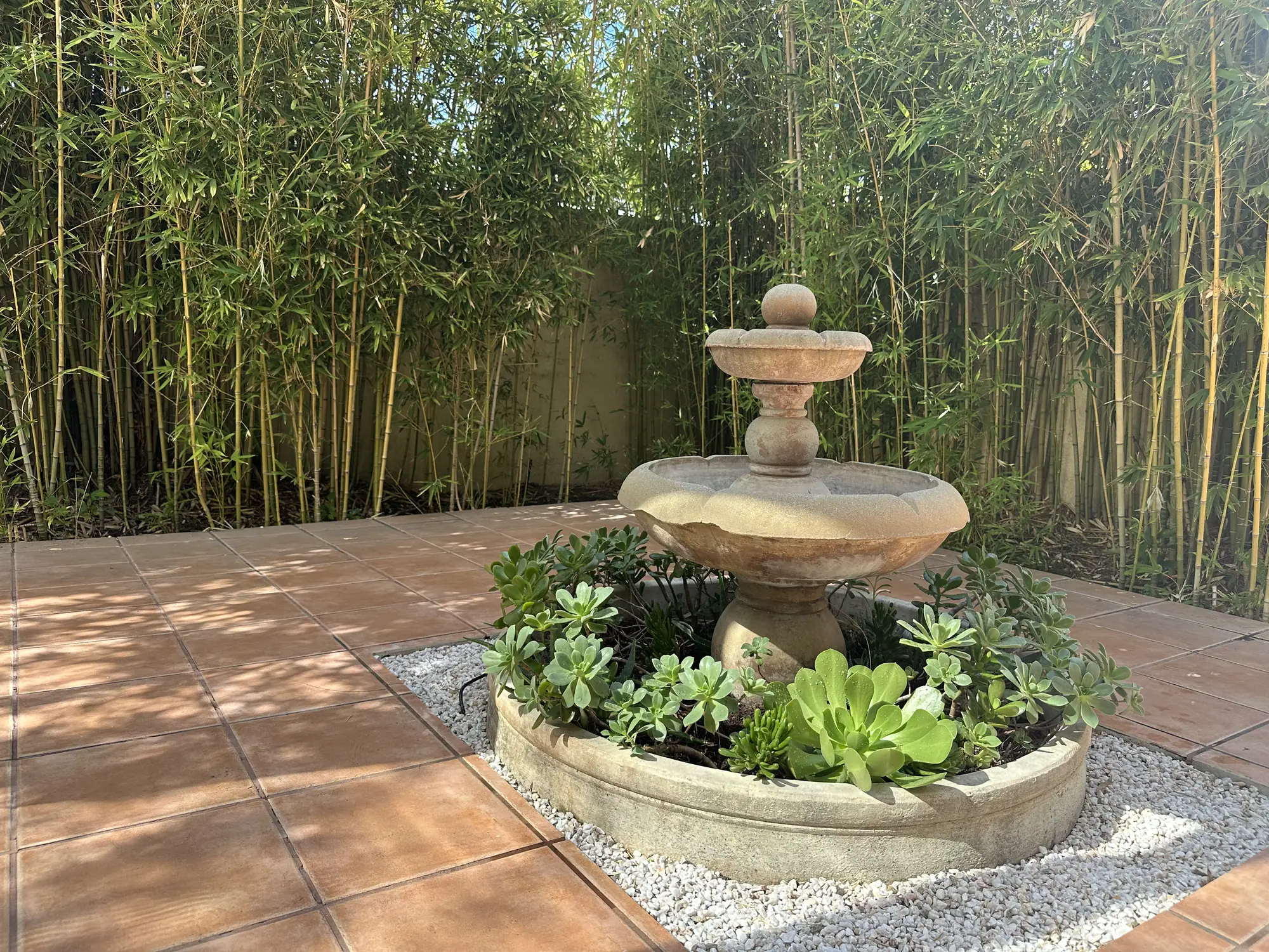 Sunlit courtyard