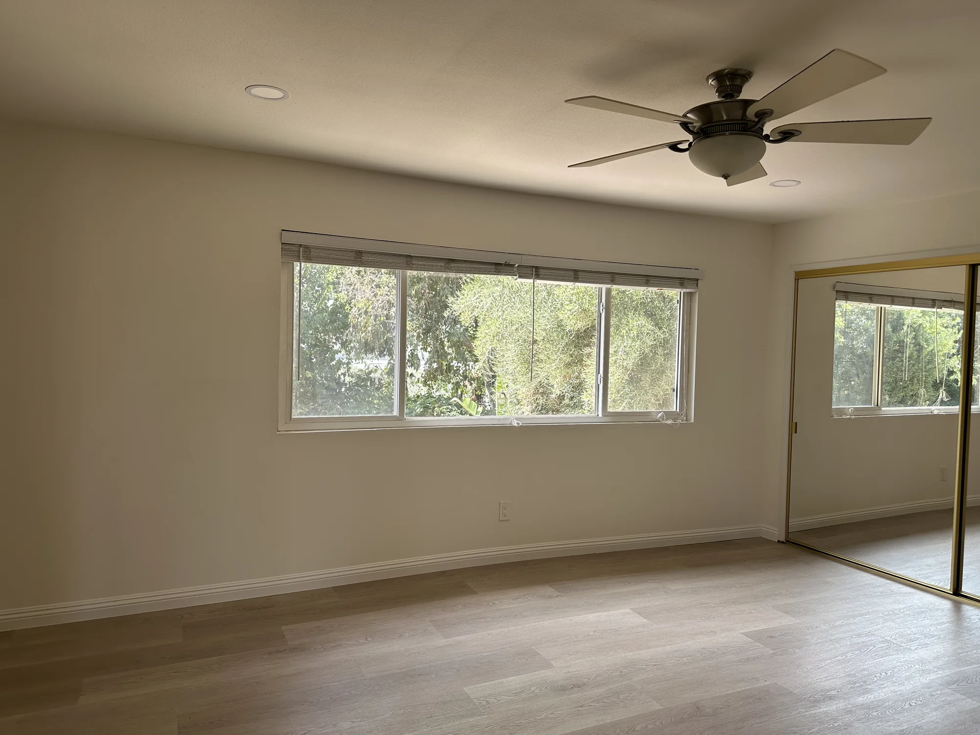 Primary bedroom windows