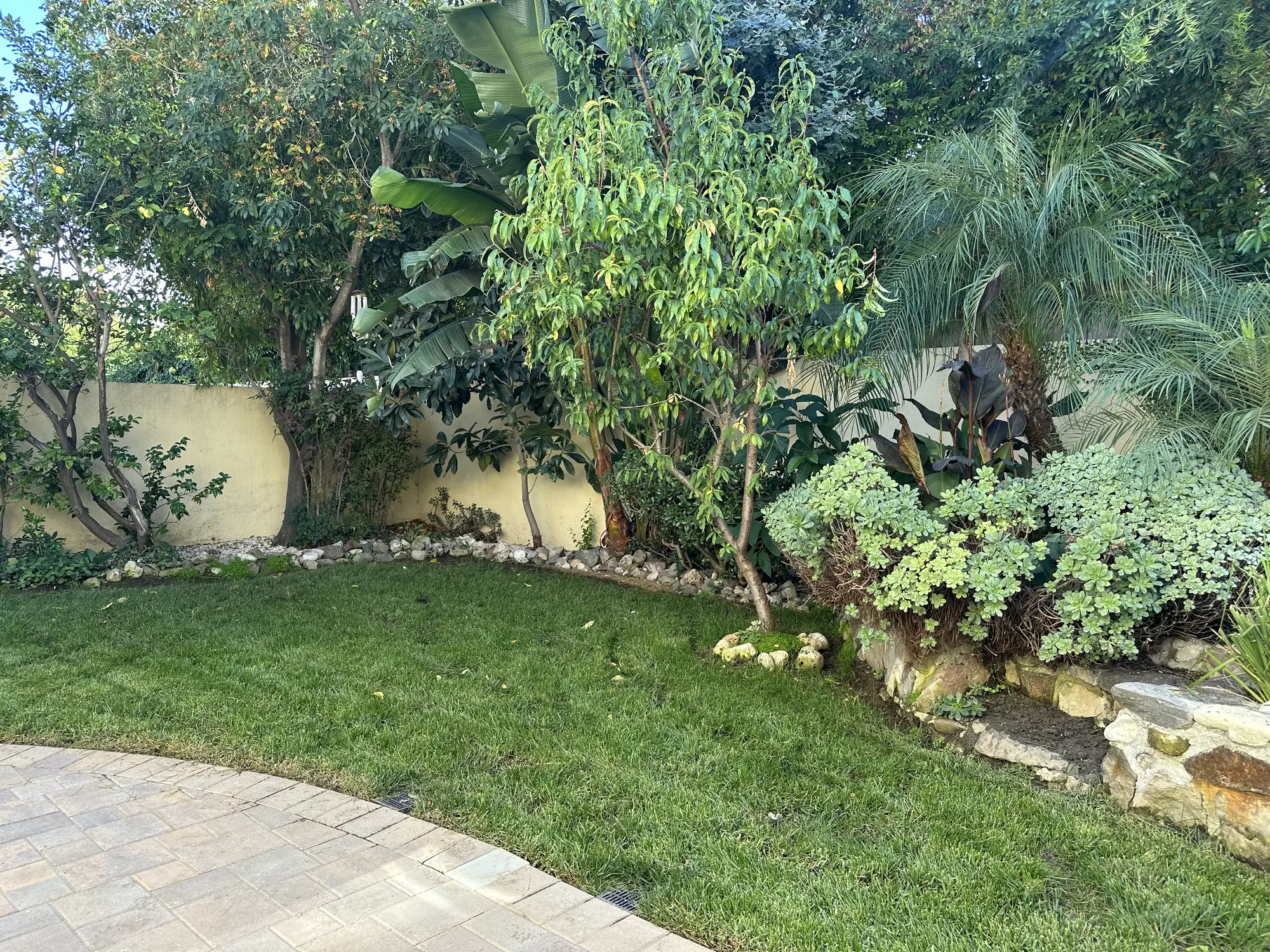Backyard landscaping
